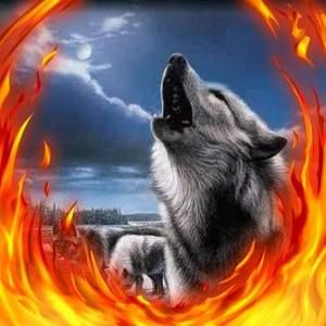 Meet your Posher, Eduardo